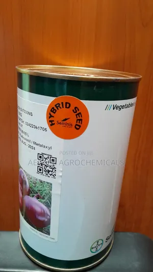 Hybrid Onion Sv7030ns 500 Grams