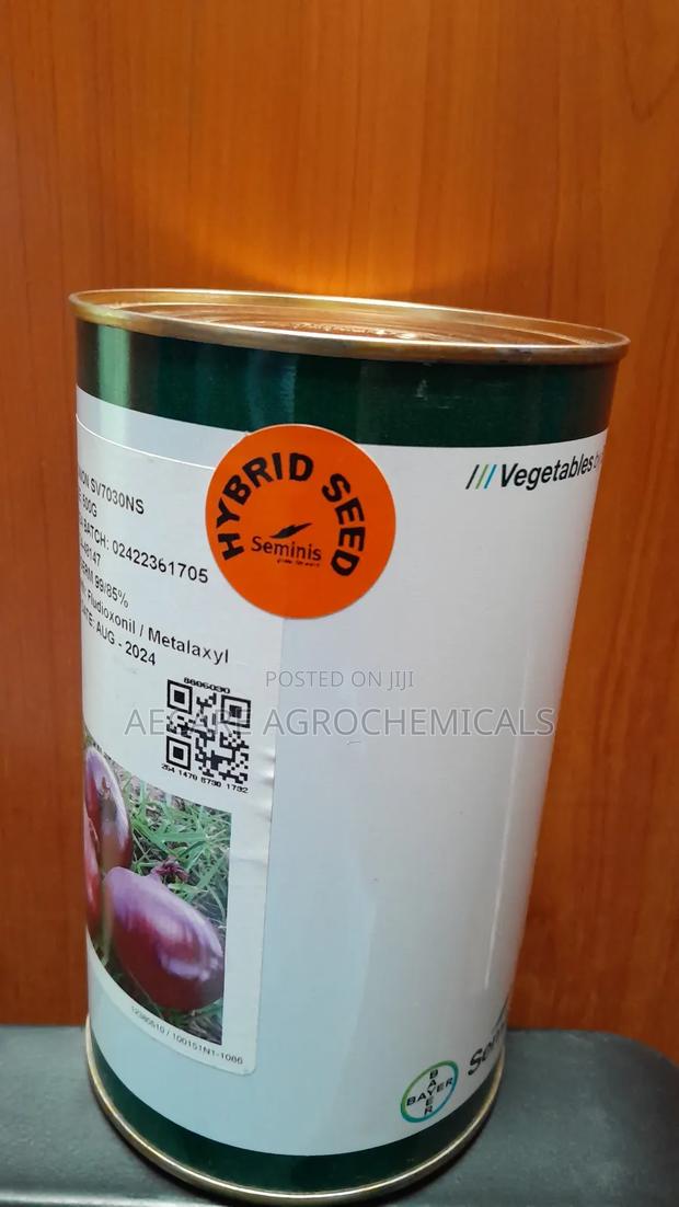 Hybrid Onion Sv7030ns 500 Grams - thumbnail 4