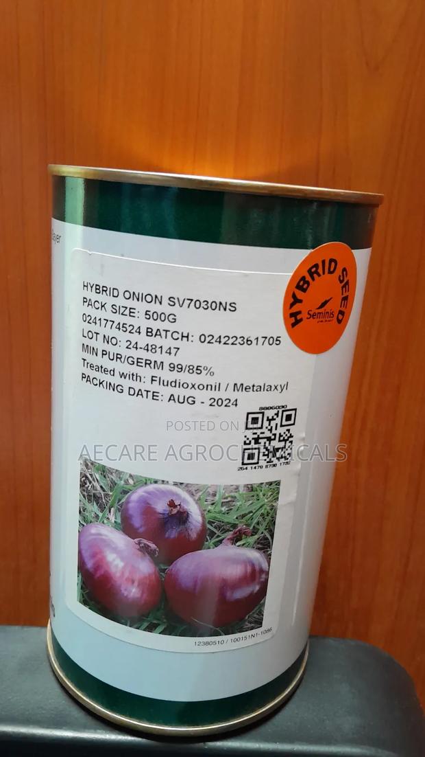 Hybrid Onion Sv7030ns 500 Grams - thumbnail 5