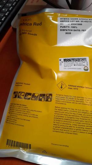 Africa Red Hybrid Onion 50,000 Seeds - thumbnail 2