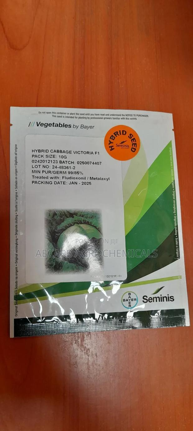 Hbrid Cabbage Victoria F1 10 Grams - thumbnail 5