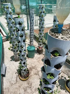 Tower Garden