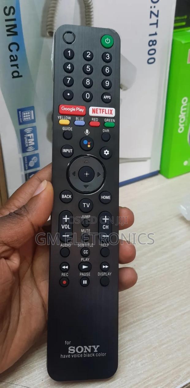 Sony Voice-remote - main view