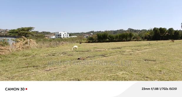 Eigth 1⁄8 Acre Plot for Sale in Ngong Kibiko - thumbnail 5