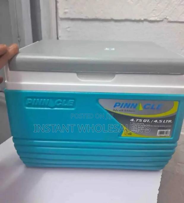 Portable 4.5 Litres Cooler Box
