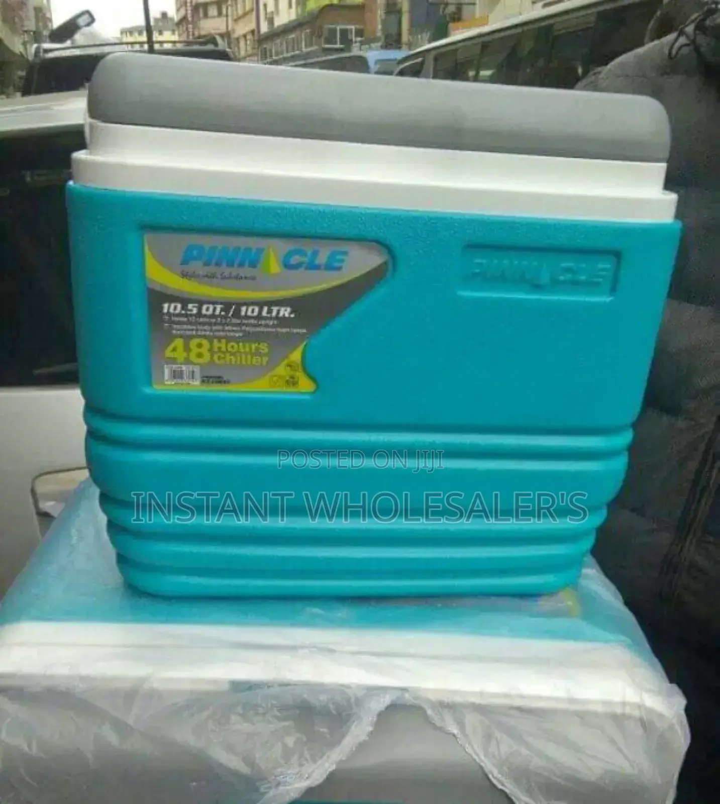 Pinnacle 10 Litres Cooler Box