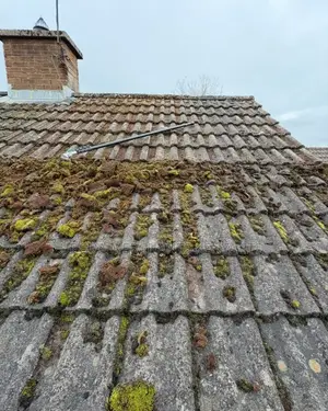 Roof Tiles Cleaning Services