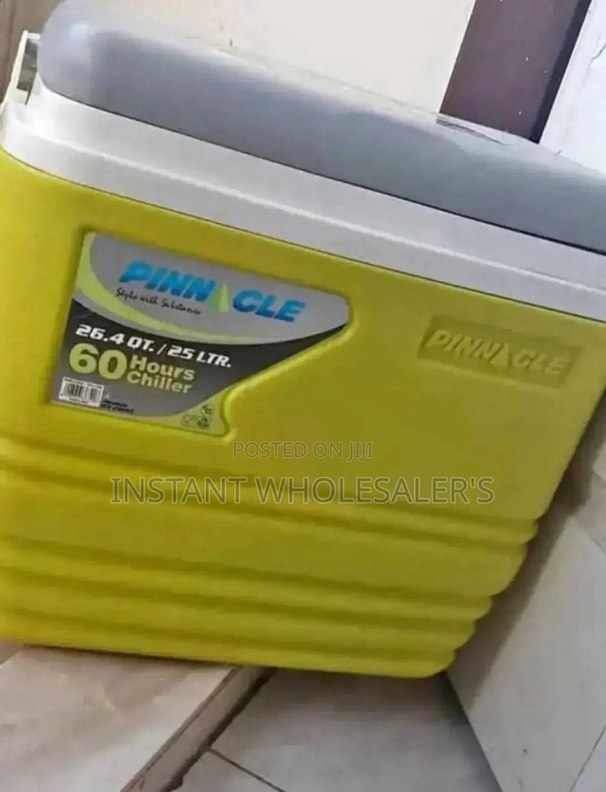 Reliable 25 Litres Cooler Box