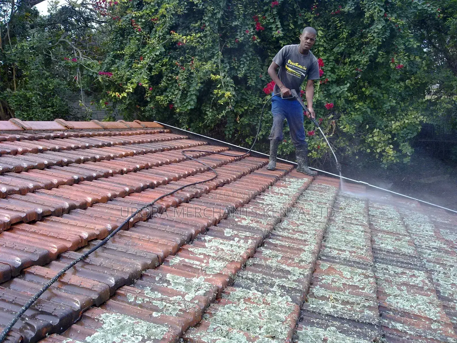 Roof Clearing and Cleaning Services