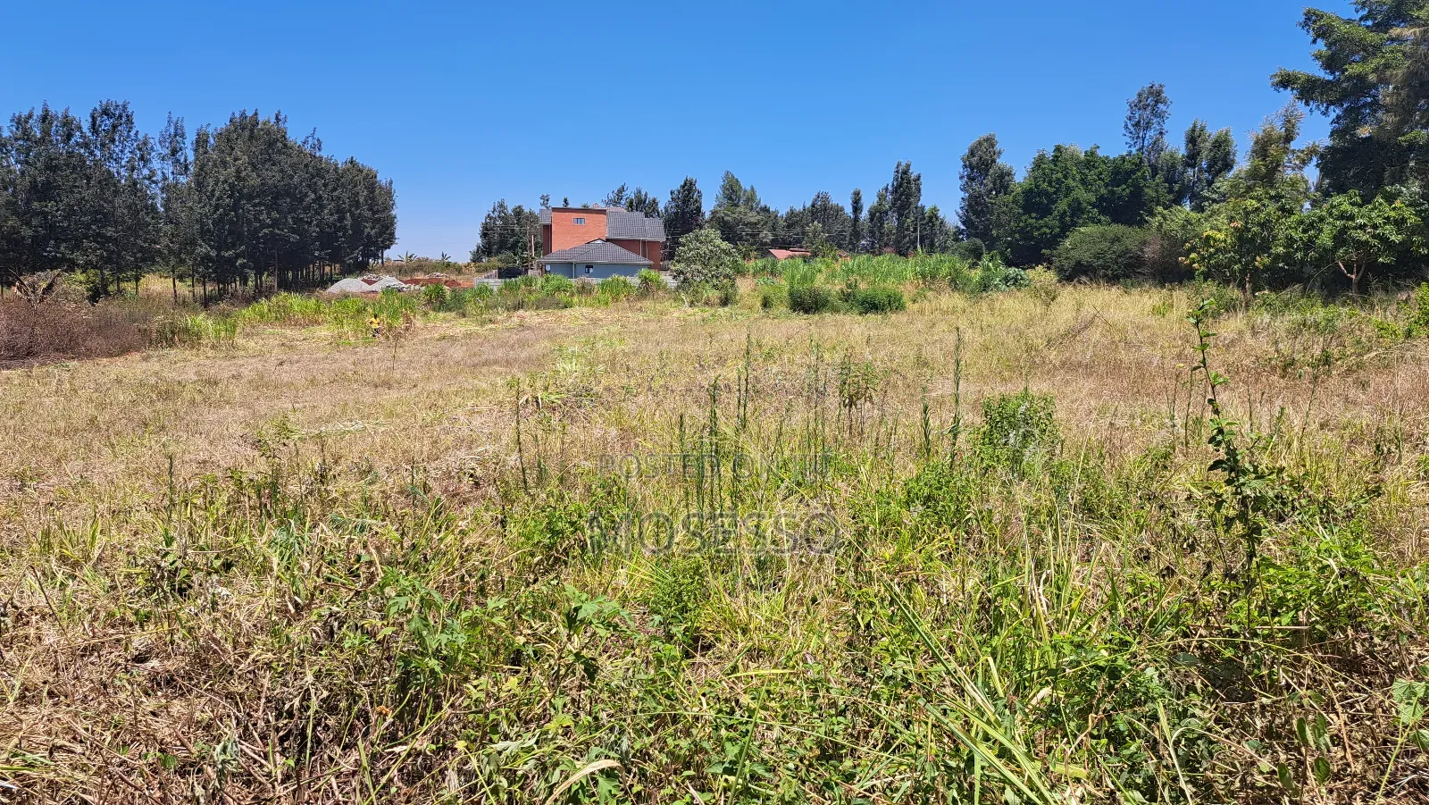 Ruiru Mugutha 50x100 Plot