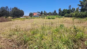 Ruiru Mugutha 50x100 Plot