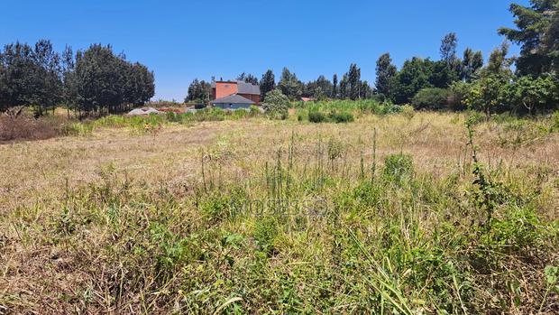 Ruiru Mugutha 50x100 Plot - main view