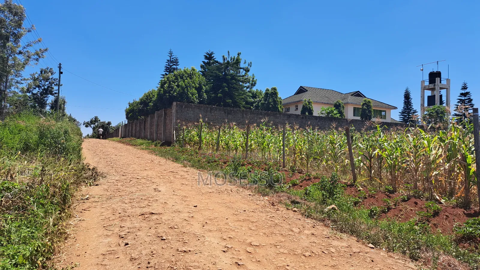 Ruiru Mugutha 50x100 Plot
