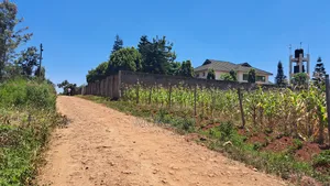 Ruiru Mugutha 50x100 Plot