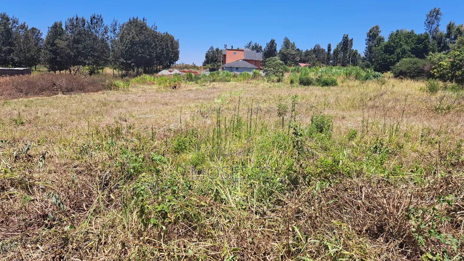Ruiru Mugutha 50x100 Plot