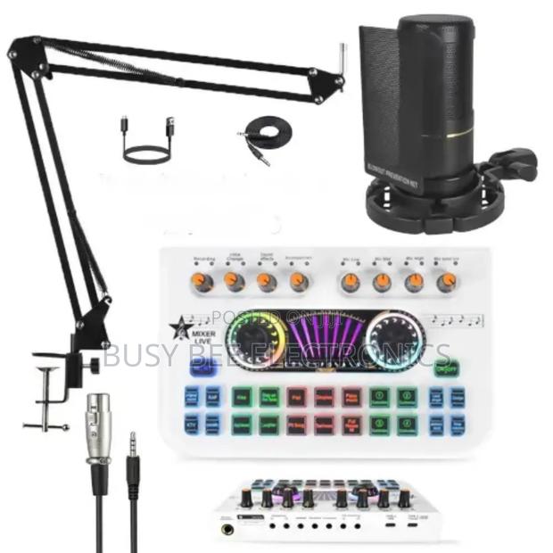Professional Condenser Microphone With X3 Sound Card Mic