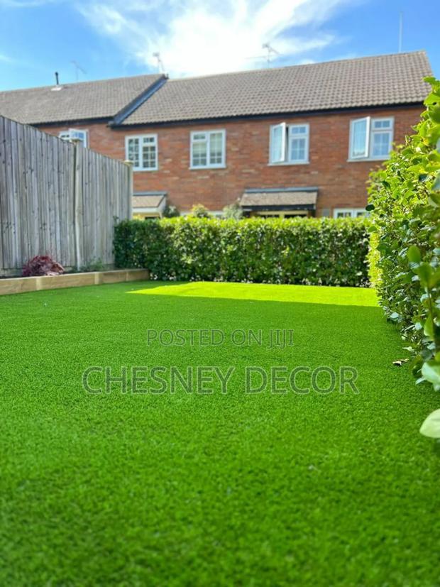 Get the Perfect Garden Lawn Without the Work - main view