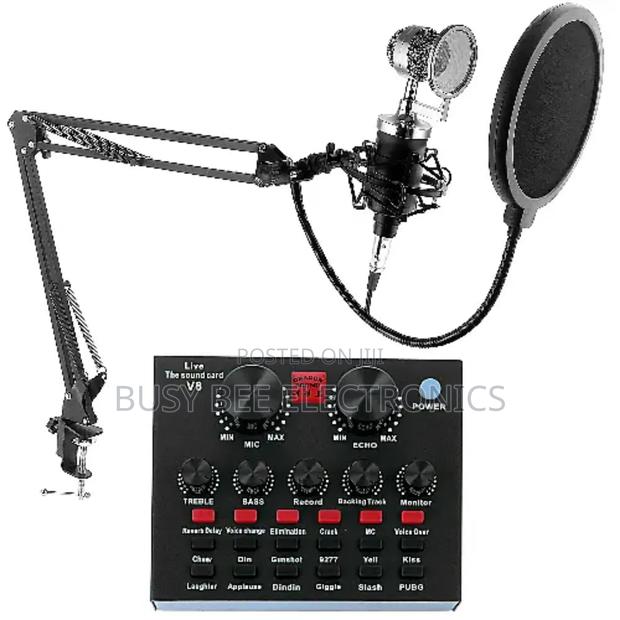 Professional USB Studio Condenser Microphone With Sound Card - main view