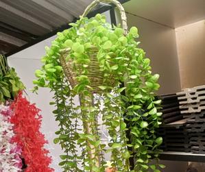 Artificial Hanging Vines on Verse - thumbnail 2