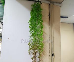 Single Stem Hanging Vines Artificial Decor - thumbnail 2
