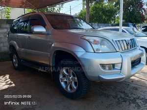 Toyota Land Cruiser Prado 2004 Silver