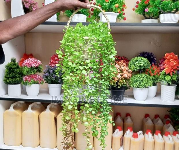 Home Wall Decoration With Hanging Vines - main view
