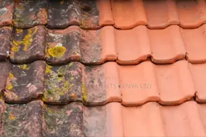 Roof Pressure Washing Cleaning
