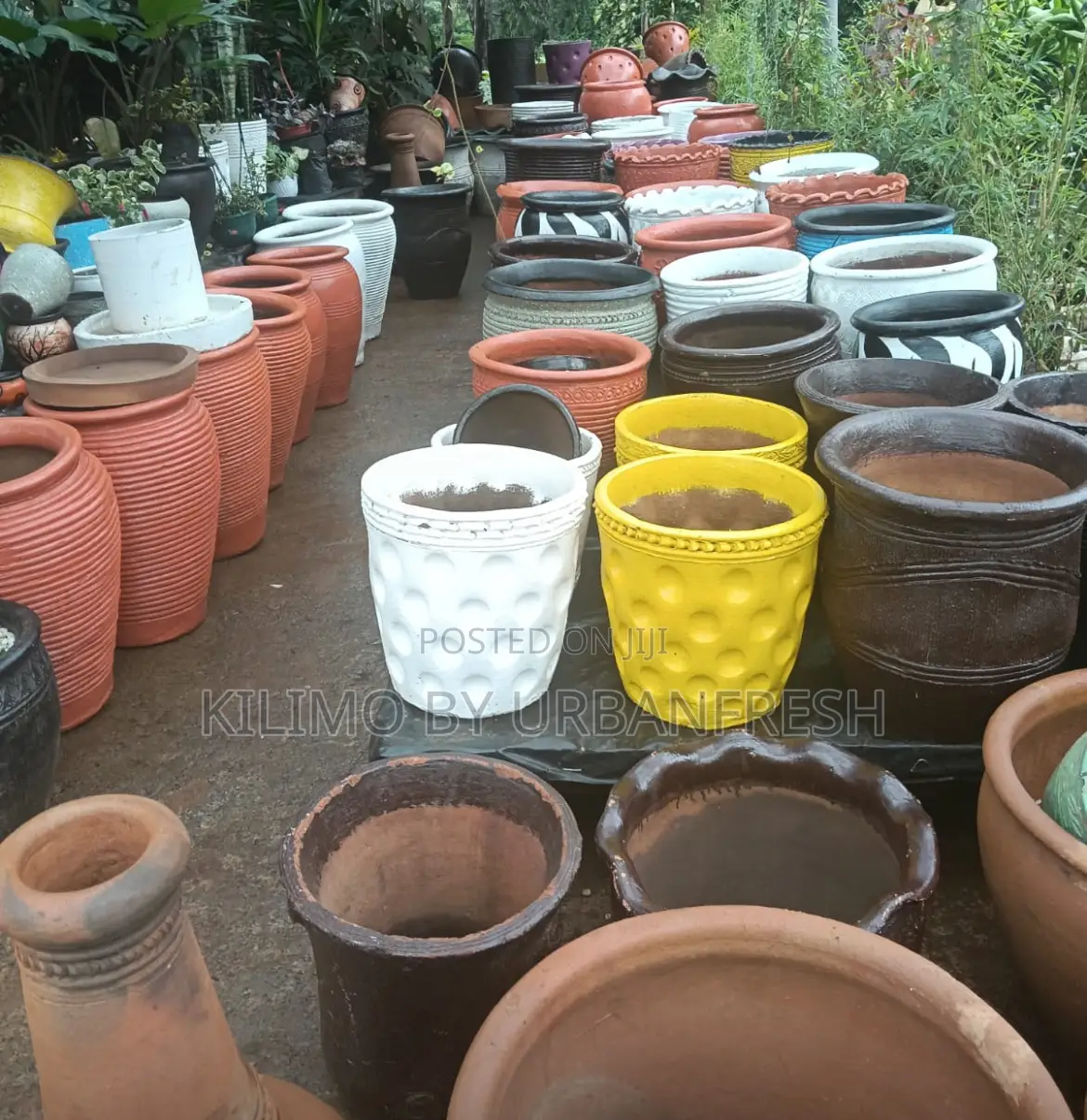 Beautiful Clay Pots Various Sizes Colors