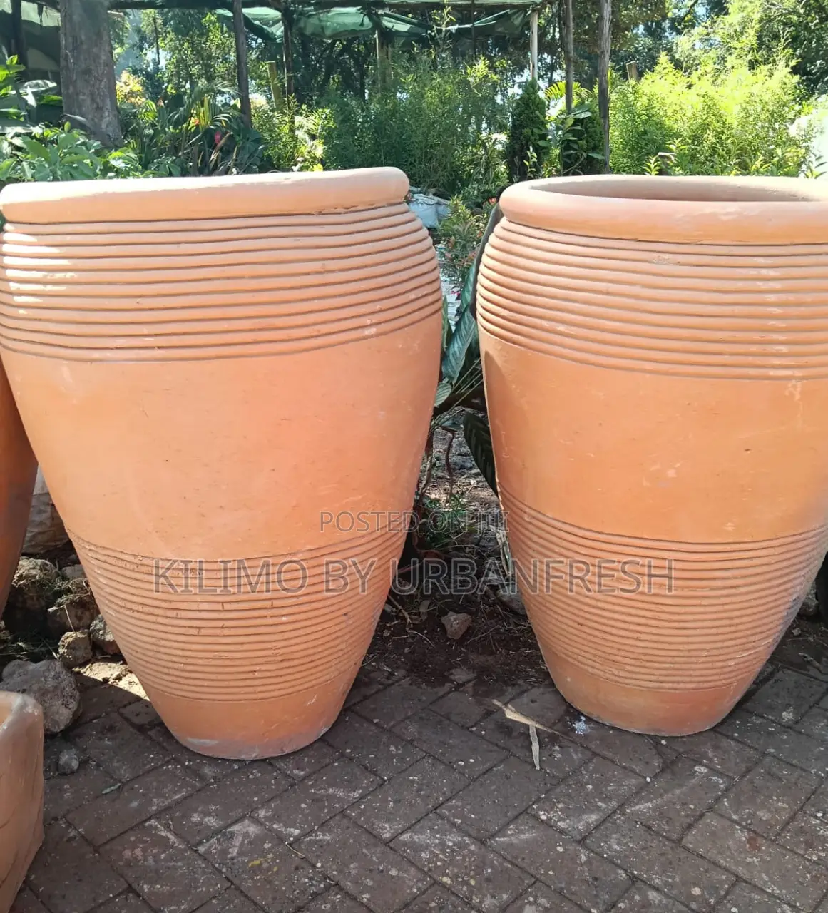 Beautiful Clay Pots Various Sizes Colors