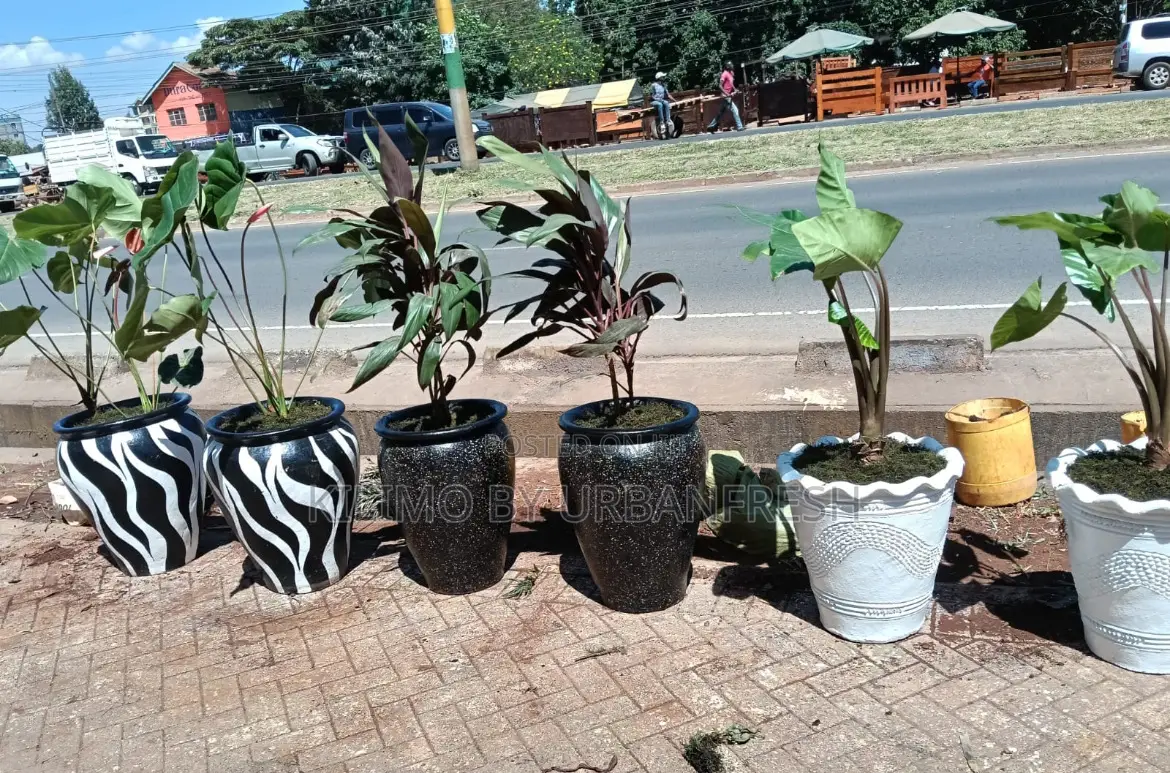 Beautiful Clay Pots Various Sizes Colors