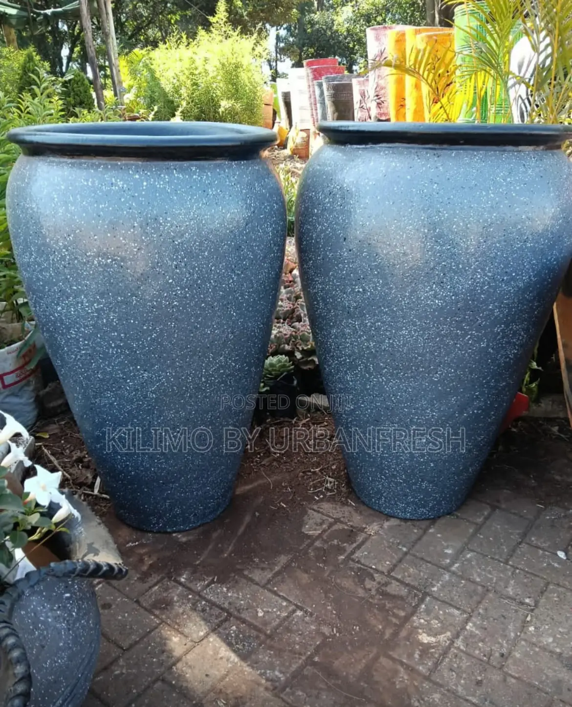 Beautiful Clay Pots Various Sizes Colors