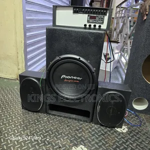 Pioner 1600watts Dual Coiled Home System