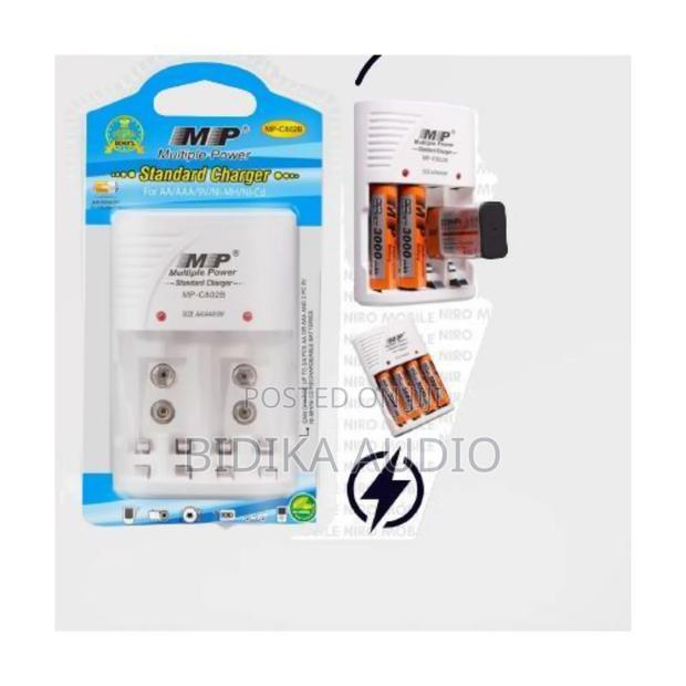 Multiple Power Standard Charger AA