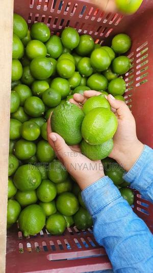 Fresh Lime - main view