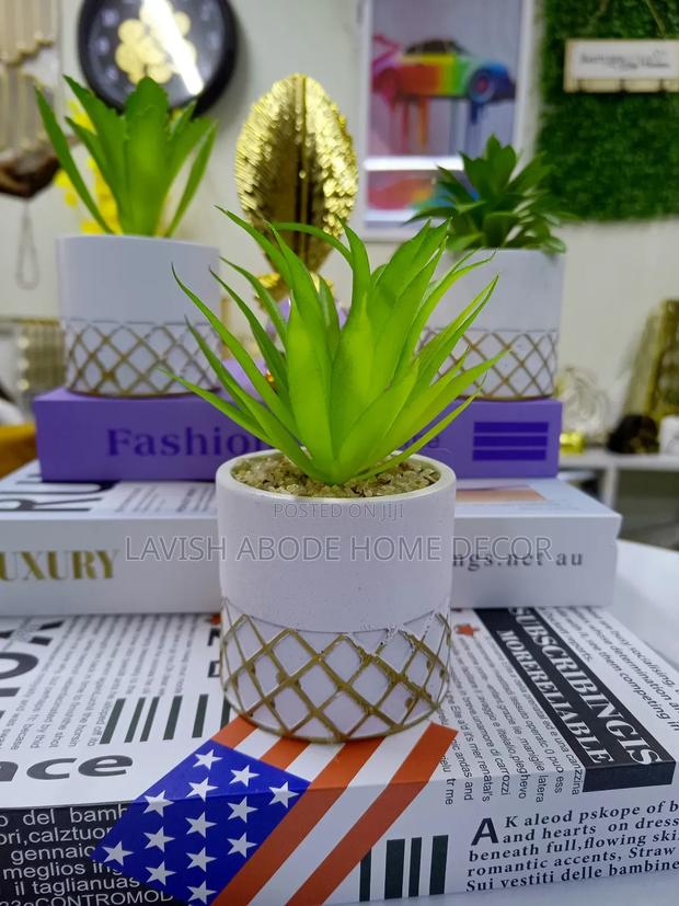 Artificial Succulent Flowers White Pot
