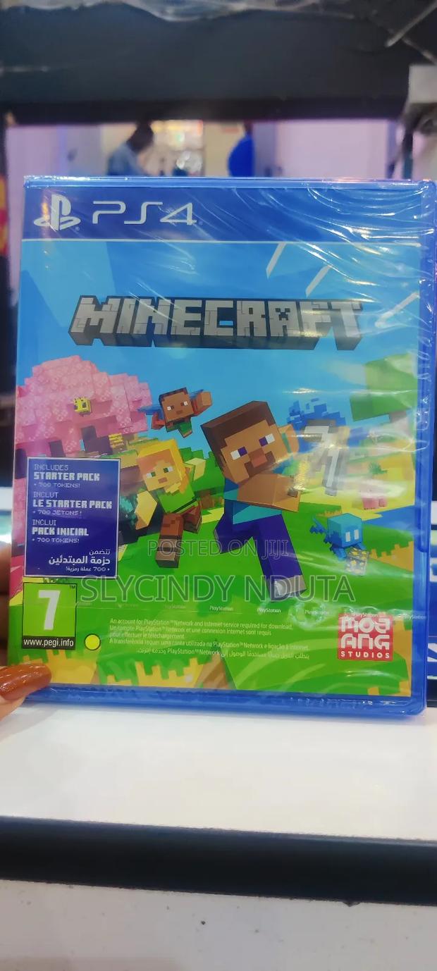 Ps4 Minecraft - main view