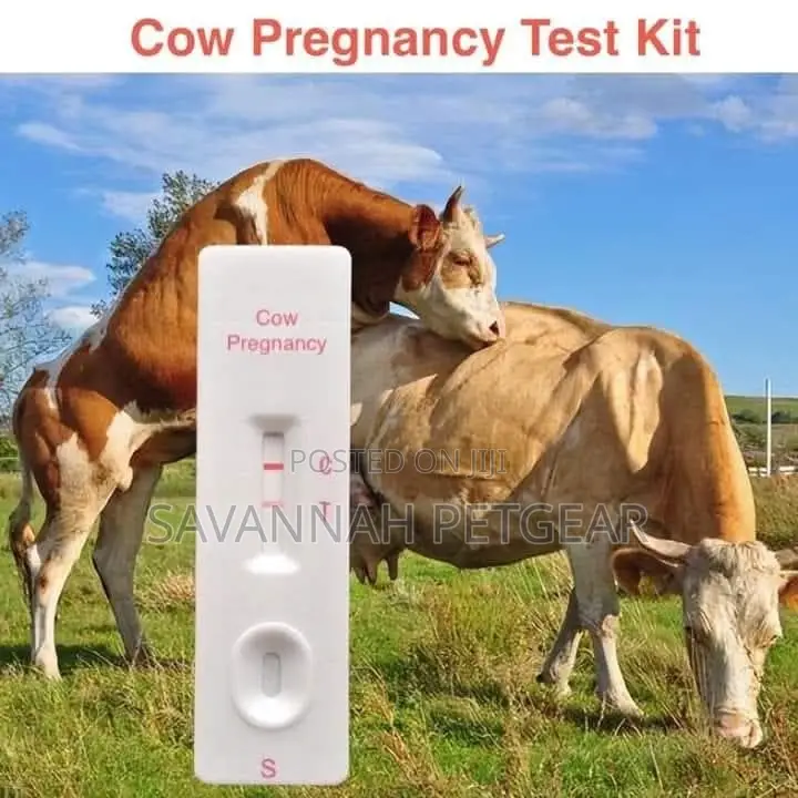 Cow Pregnancy Test Kit - Confirm on 28th Day After Mating