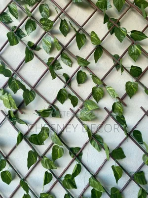 Walll Decor1