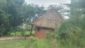 Makuti Roofing Installation