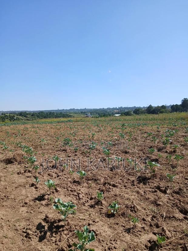 50x100 Plots in Naivasha Nyamathi Gd Area With View of Lake - main view