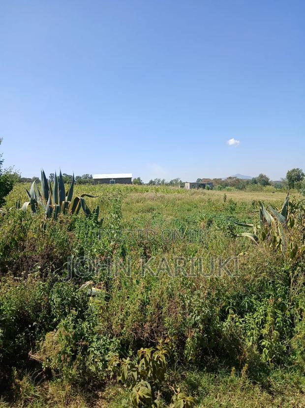 50x100 Plots in Naivasha Nyamathi Gd Area With View of Lake - thumbnail 2