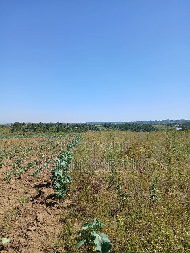 50x100 Plots in Naivasha Nyamathi Gd Area With View of Lake - thumbnail 4