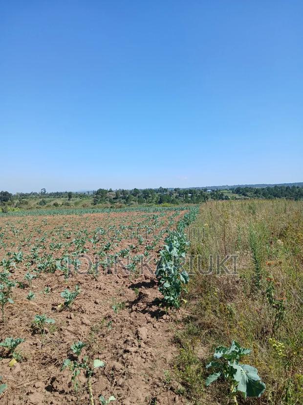 50x100 Plots in Naivasha Nyamathi Gd Area With View of Lake - thumbnail 6