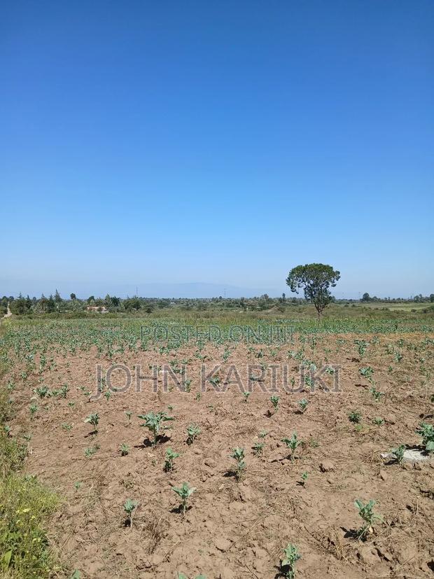 50x100 Plots in Naivasha Nyamathi Gd Area With View of Lake - thumbnail 7