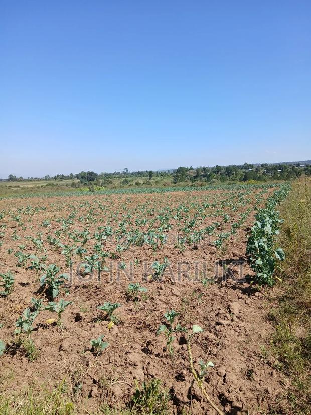 50x100 Plots in Naivasha Nyamathi Gd Area With View of Lake - thumbnail 8