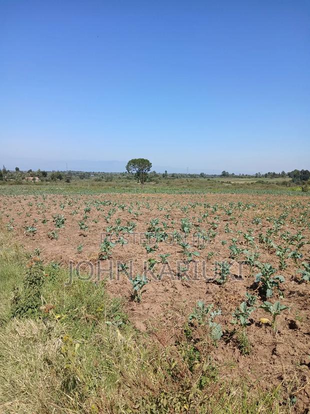 50x100 Plots in Naivasha Nyamathi Gd Area With View of Lake - thumbnail 9