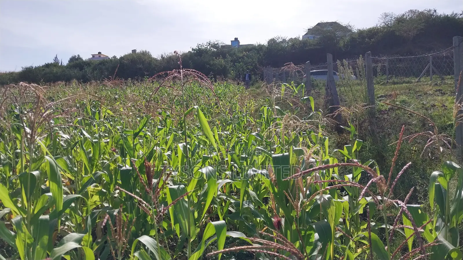 One Acre Land for Sale in Matasia