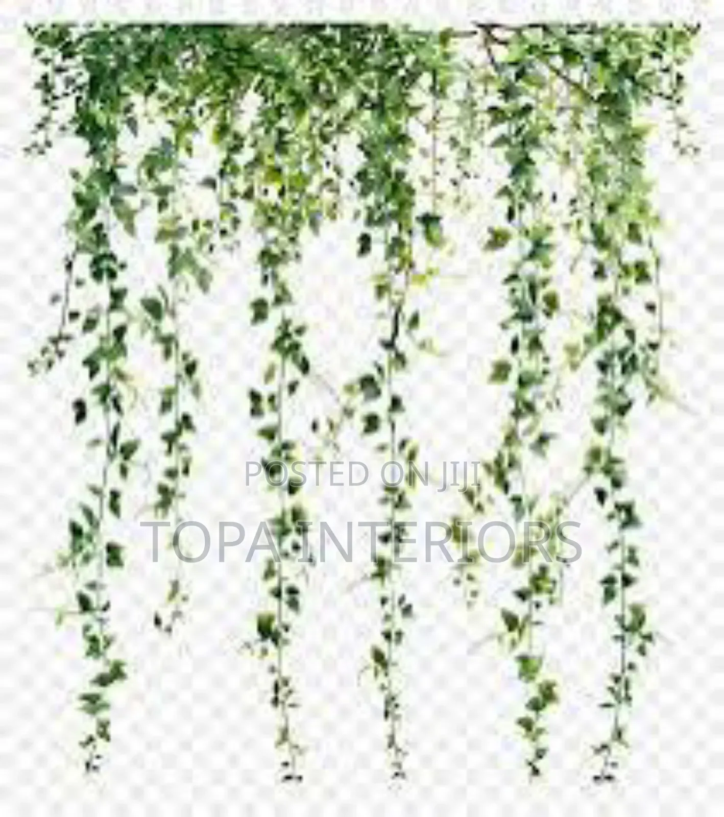 Aesthetic Hanging Vines for House Decoration