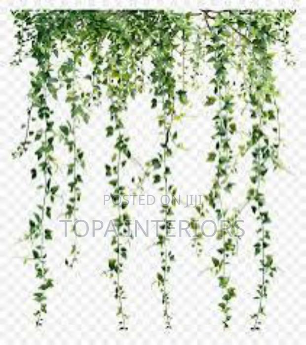Aesthetic Hanging Vines for House Decoration
