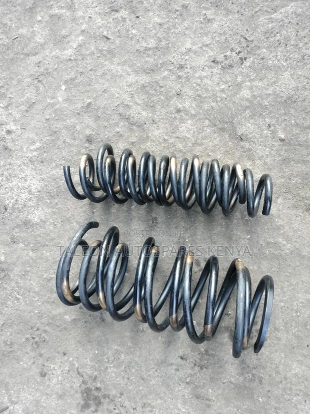 Nze Heavy Duty Springs
